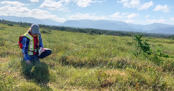 A Futures in Conservation Program intern monitoring a nature reserve in Newfoundland's Codroy Valley.