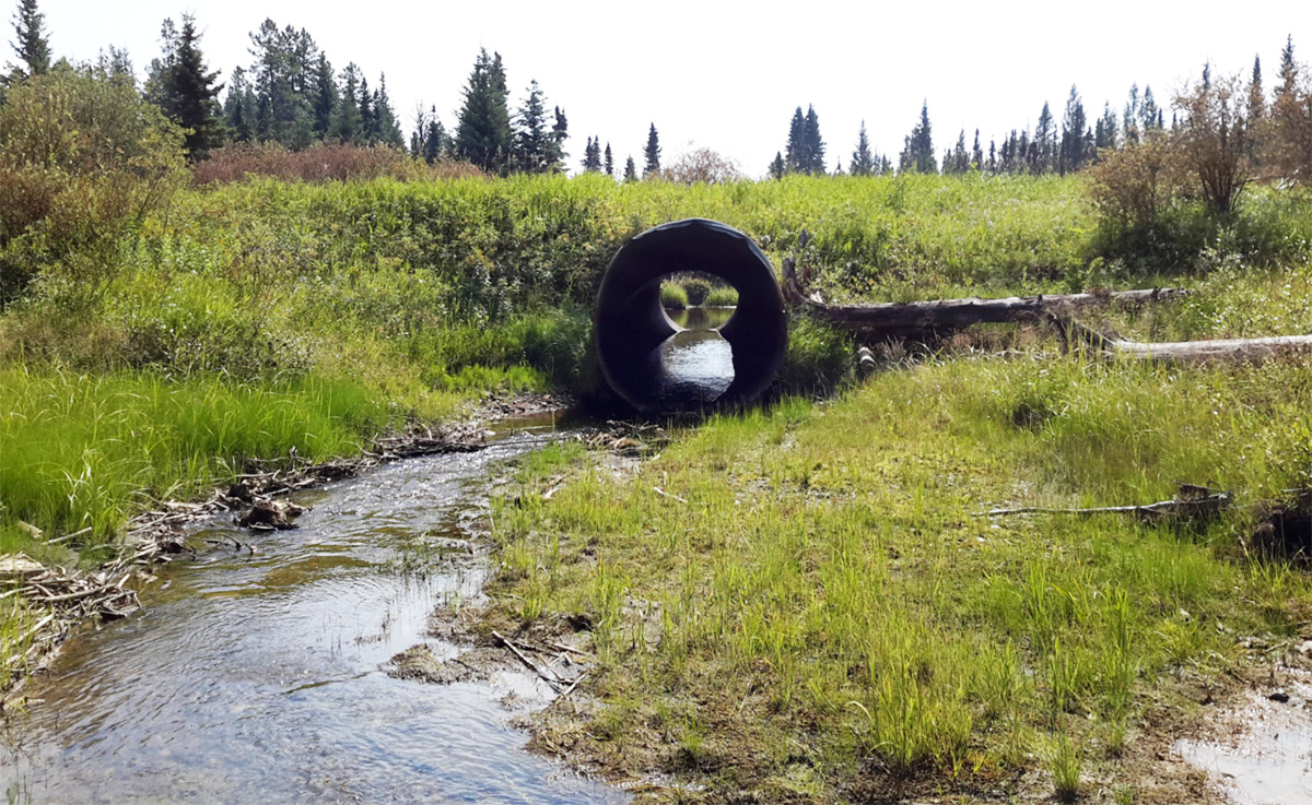 A culvert that restricts the natural flow of the stream.