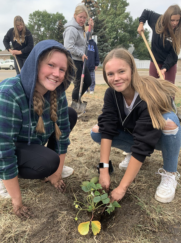 Students at Outlook High School dig a hole for a strawberry plant