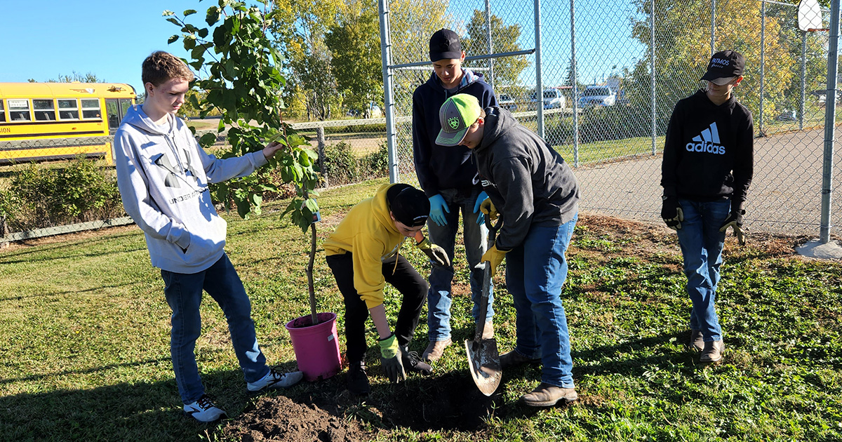 Students at Hafford Central School plant an apple tree